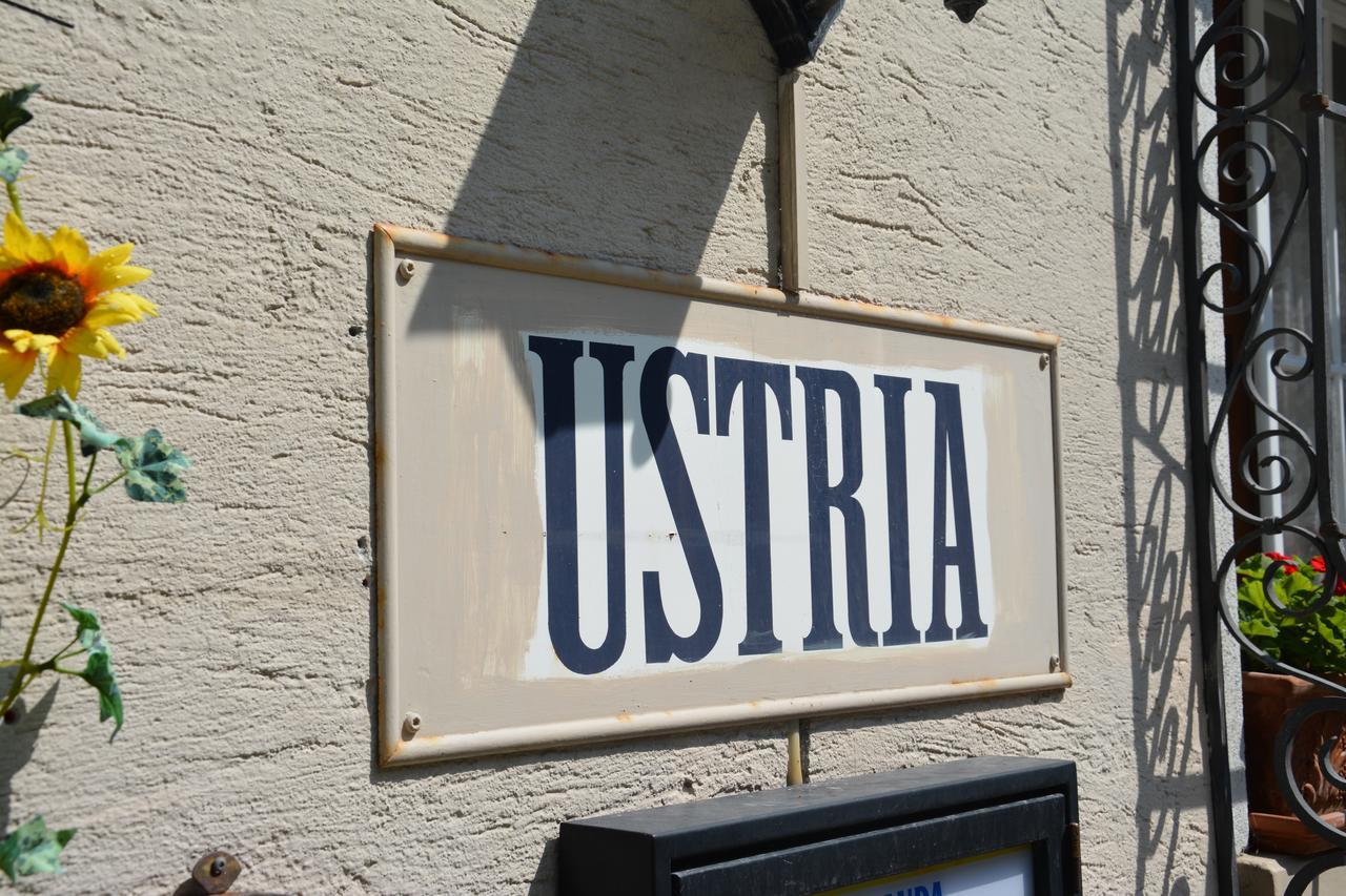 Ustria Crusch Alva Bed & Breakfast Tavanasa Exterior foto